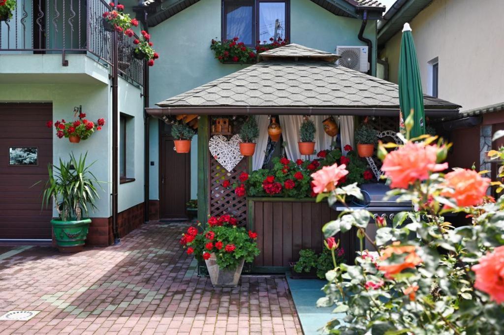 Casa Cizi Hotel Calimanesti Exterior photo